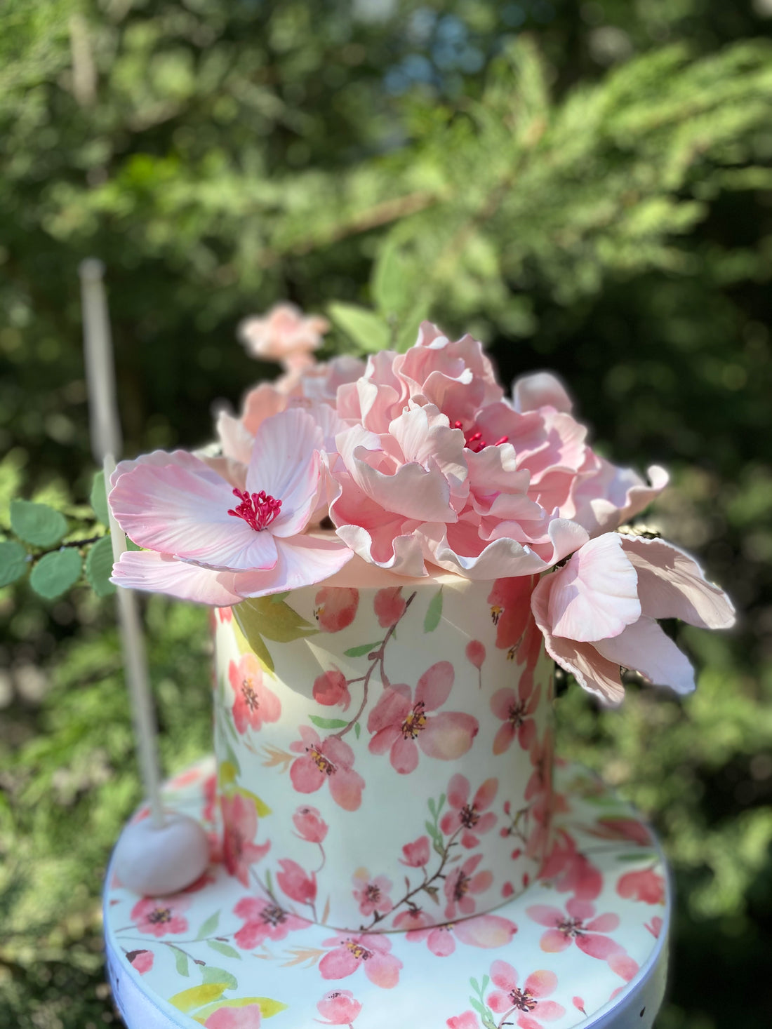 No:244 Şeker Hamurlu Tasarım Pasta