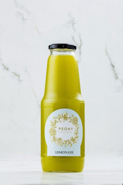 El Yapımı Naneli Limonata